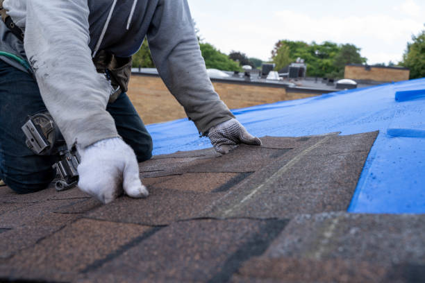 Best Chimney Flashing Repair  in Trevose, PA